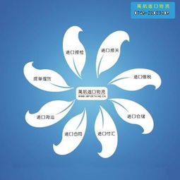 合肥食品進口報關流程及時間解析 上海港口報關代理與國內貿易代理服務